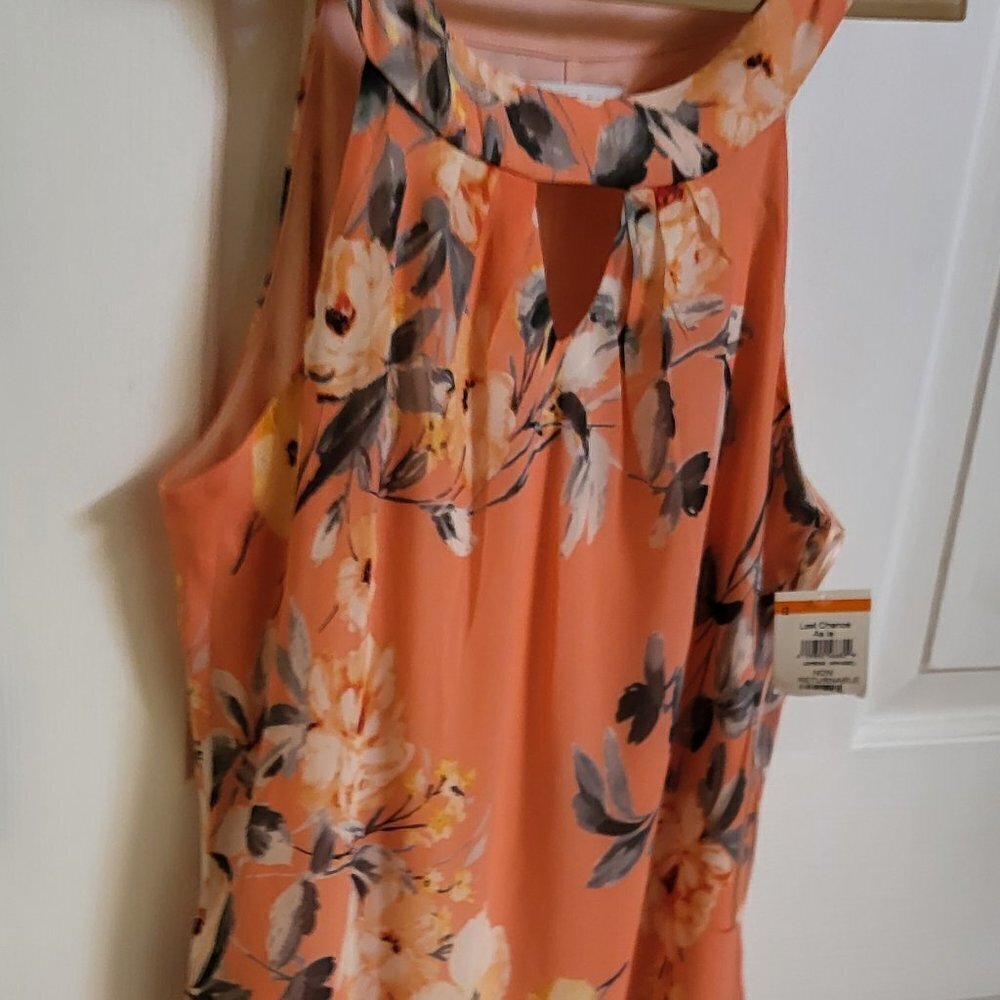 Robbie Bee Sleeveless Floral Chiffon Keyhole Neck Dress Size 12 NWT - Picture 5 of 12